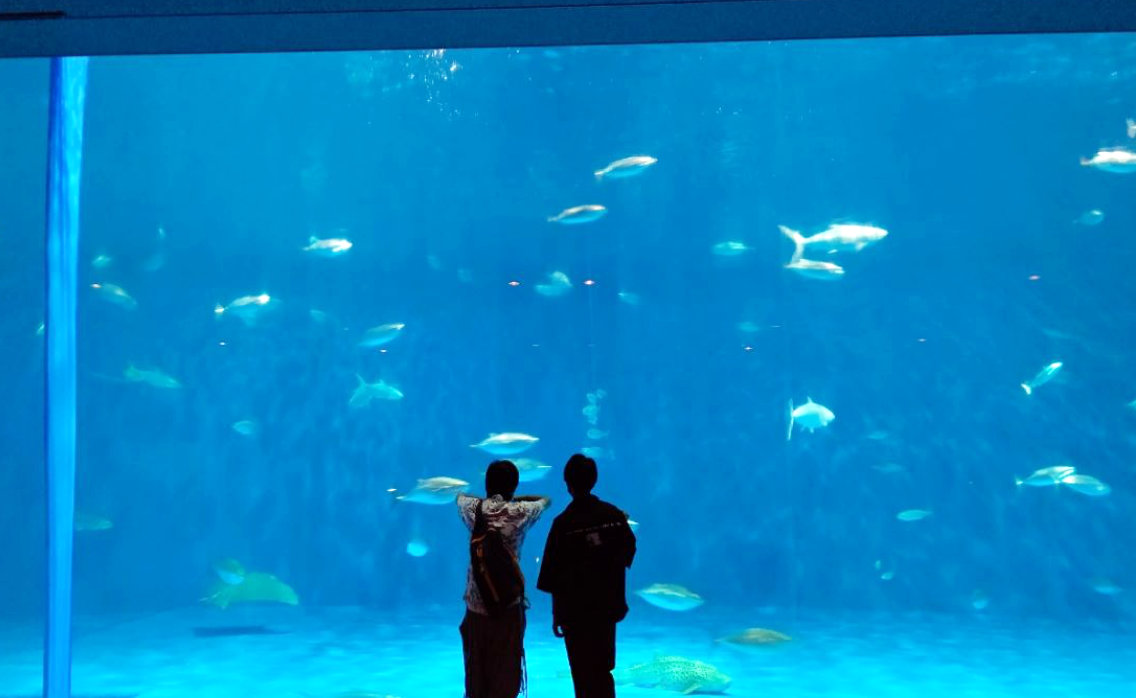 水族館イベント