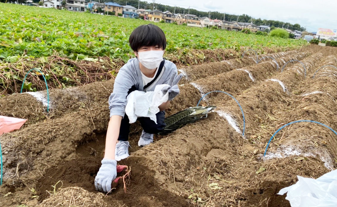 キャンパスイベントでさつまいも掘り♪