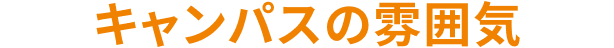 キャンパスの雰囲気