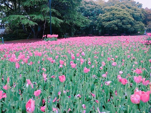 !cid_DE030401-7F37-47BE-B1F8-B2018C07F73A (481x640)