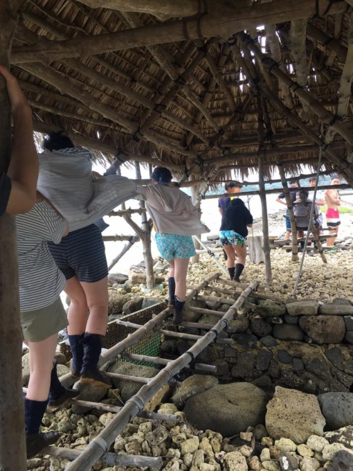 201605ハワイ留学 (26)