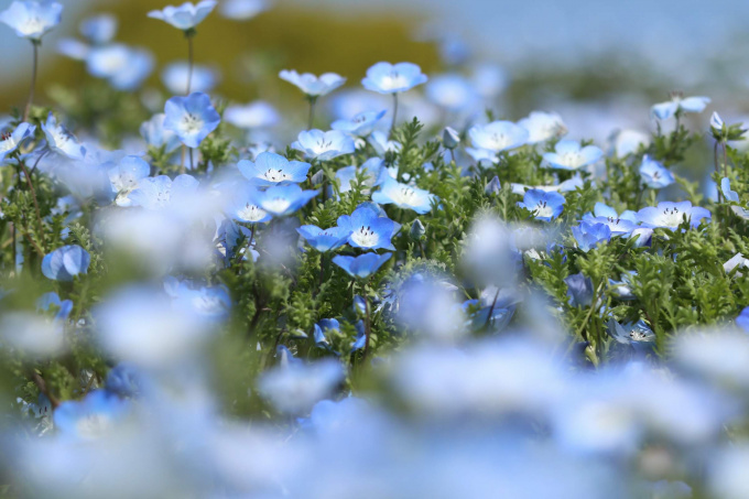 20180412095108_IMG_1406