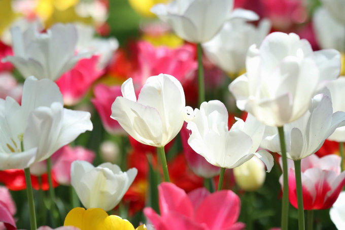 20180412103616_IMG_1428