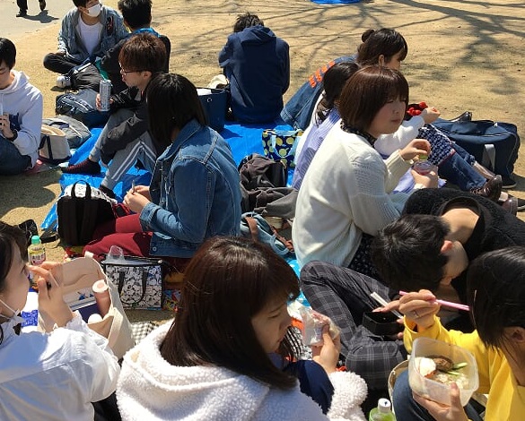 20190404_031346261_iOS