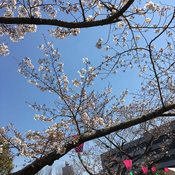 20190404_040830128_iOS