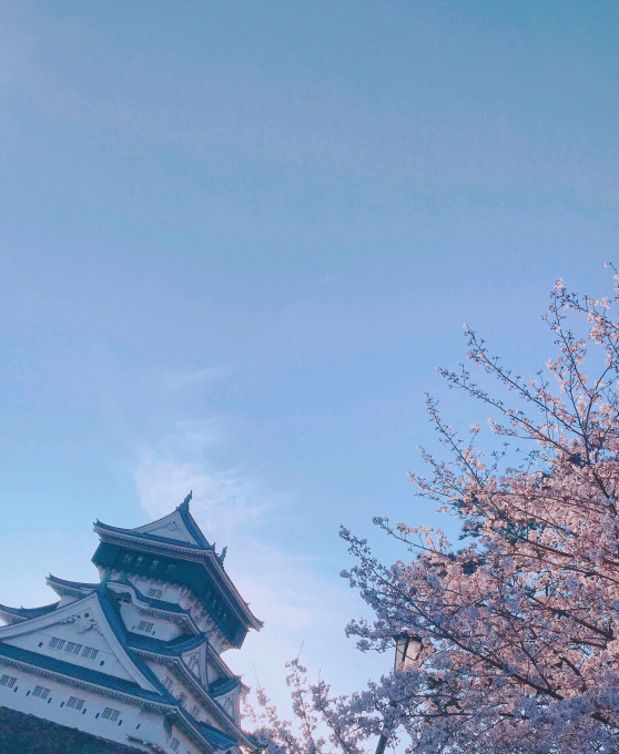 2365F3DC-A97F-47D4-9523-5721BA1AFAB6