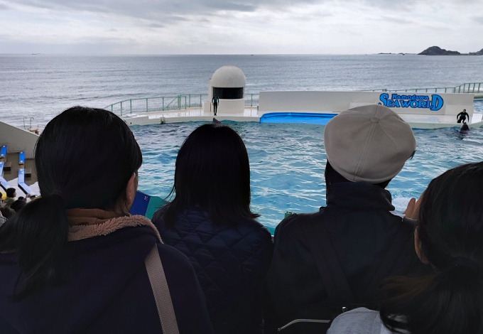 IMG_20191115_111844_1