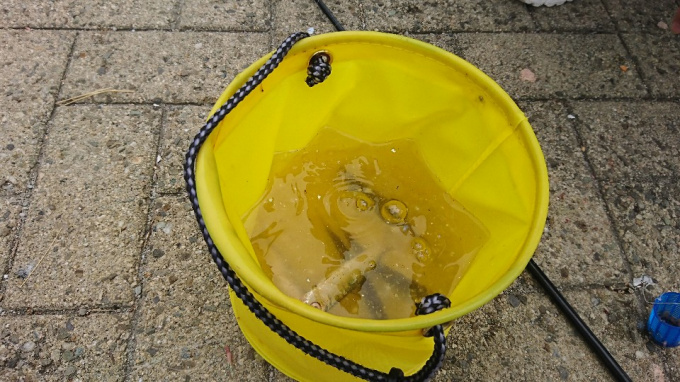 DSC_0112_copy_960x540