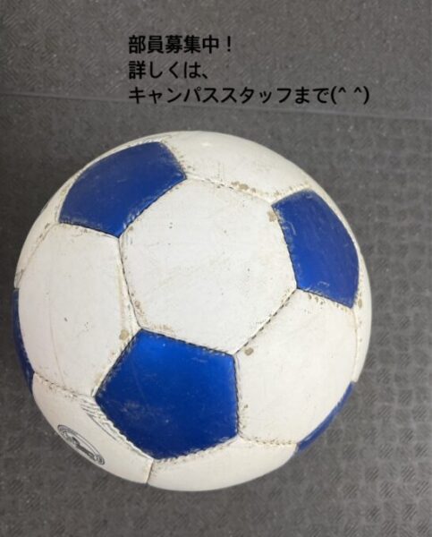 画像に alt 属性が指定されていません。ファイル名: a7f25f107b5ace18414f354e94b922e3-483x600.jpg