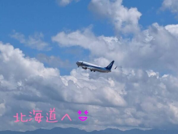 飛行機