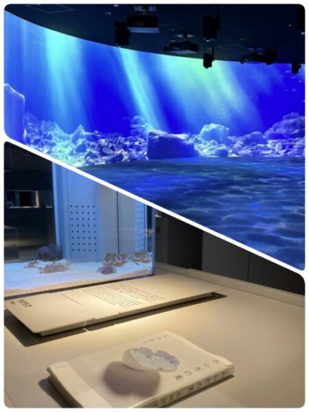 北海道修学旅行