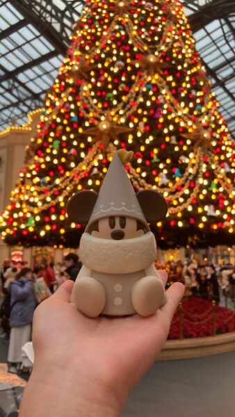 ディズニーランド