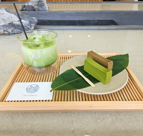 鎌倉旅行の様子