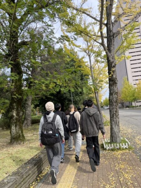 イチョウが綺麗でした