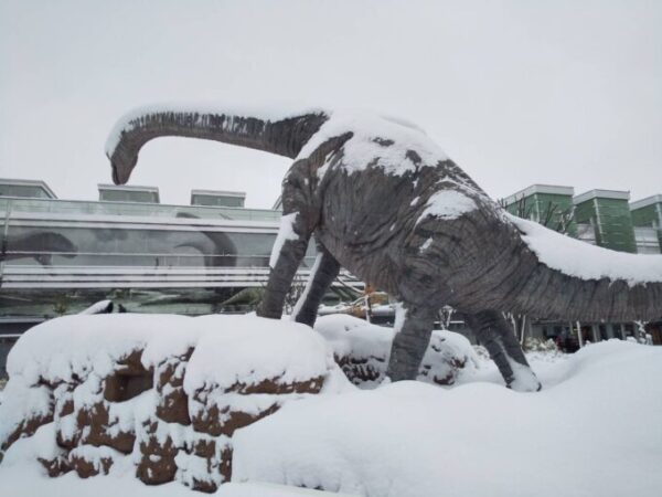 恐竜も冷えております。。