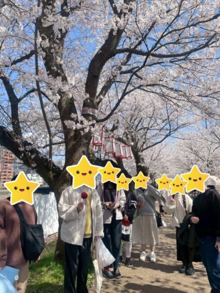 桜並木、綺麗でした！