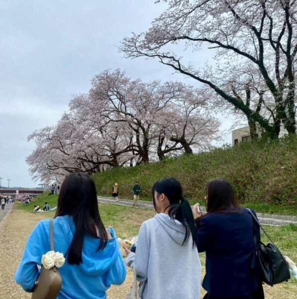 歩いて10分程度なので、ちょうど良いお散歩です